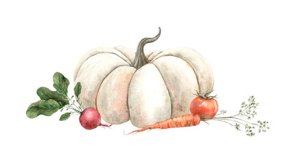 Watercolor composition with pumpkin, radish, tomato, carrot. Hand drawn illustration for use in design, posters, menus, cards, corporate identity, cookbooks.