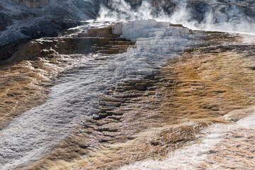 steaming hot spring, Lower Terraces, Mammoth Hot Springs, Yellowstone National Park, Wyoming, USA	
