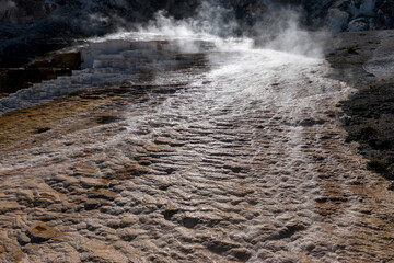 white steam over hot spring travertine, Lower Terraces, Mammoth Hot Springs, Yellowstone National...