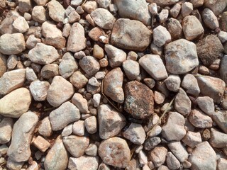 Brown small rocks ground texture. brown small road stone background. gravel on a country road
