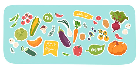 Natural organic vegetables food sticker set. Raw carrot, tomatoes, pumpkin, potatoes, olives, paprika vitamin ingredients. Various bio vegan agriculture products harvest flat vector illustration