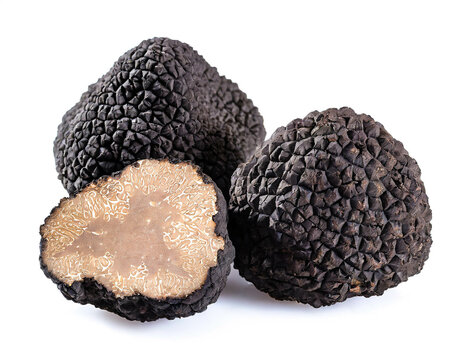 black Truffles isolated on white background, cut out 
