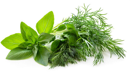 Herbs, basil, chives, parsley, dill isolated on white background, cut out