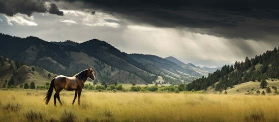 In the wilderness of Montana, a wild horse with a bay-colored coat and a scar on its mane roams freely in the vast pasture, while its herd grazes on the lush grass beneath the towering mountain, with - obrazy, fototapety, plakaty
