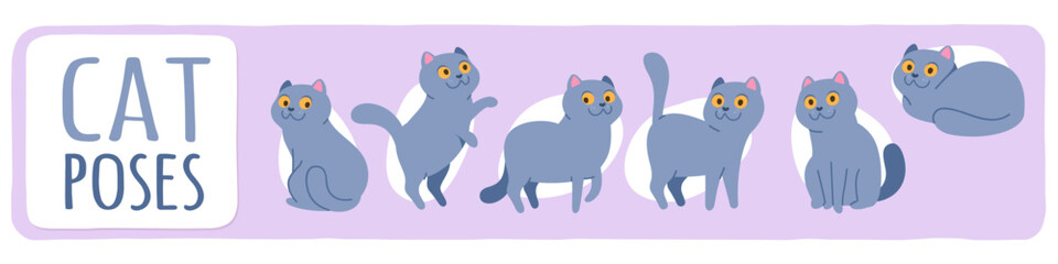 Funny cat pet poses set. Cute kitten animal smiling, sitting, standing, playing, lying in different positions collection. Adorable purebred domestic animal characters flat vector illustration