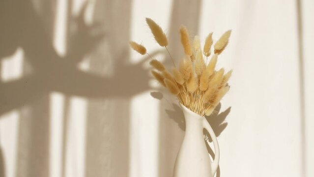 Light and shadows of girl's hands. The movement of golden spikelets in the wind. Sunlight soft light and shadows from the transparent curtain, tulle. Product presentation, mockup for advertising. 4k