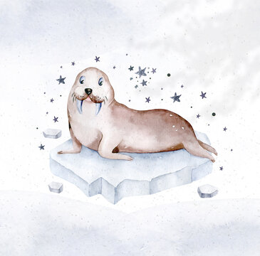 watercolor illustration painting walrus with a baby polar seals isolated on a white background. Arctic water world animals. antarctic ocean wildlife