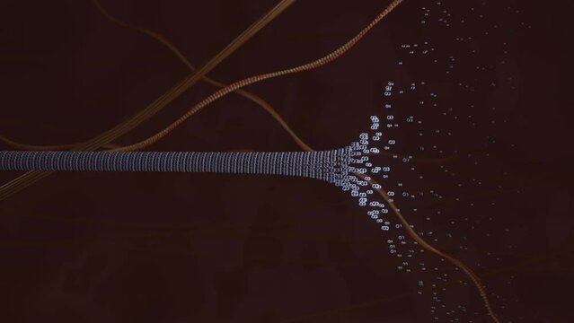 Microtubules in Motion: Navigating Cellular Highways with Motor Proteins