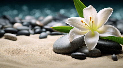 Fototapeta na wymiar Lotus Flower With Spa Stones In Rock Garden