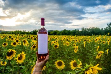 Wine in a field of sunflowers - 683930822