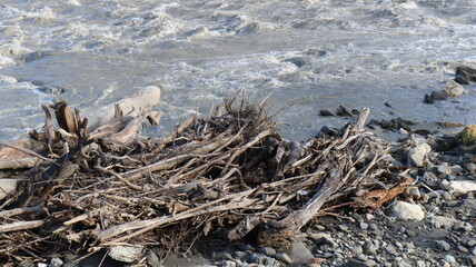 tree branches deposited by a mountain river stream lying in a pile on a rocky bank, wild river...