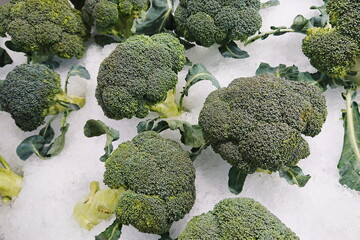 Group of broccoli on ice tray in supermarket.