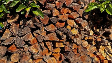 Pieces of wood cut for burning.