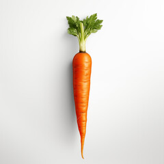 carrot, vegetable, food, isolated, fresh, orange, organic, carrots, healthy, white, bunch, raw, green, vegetarian, root, leaf, diet, ingredient, ripe, agriculture, red, leaves, freshness, market, stem