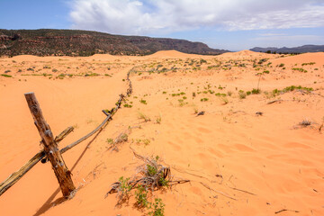 Coral Pink Sand Dunes State Park