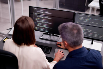 Extreme Programming: A mature pair programming software