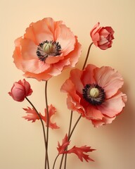 Mesmerizing Beauty of Dual-Hued Poppy Flowers - A Symbol of Life & Love Generative AI