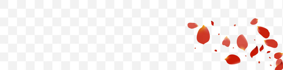 Delicate Lotus Spring Vector Transparent