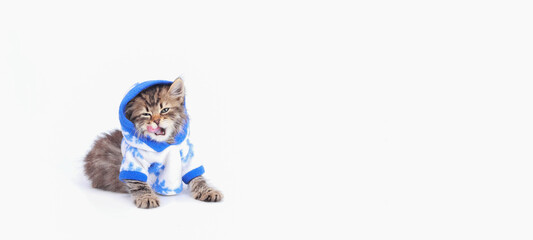 Kitten licks its lips. Lovely tiny kitten. Beautiful web banner with copy space. Kitten wearing white blue hooded sweater on a white background. Adorable pets. Cat clothes. Pet Supplies. Hungry cat