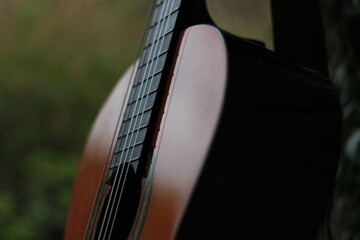 Detail of acoustic guitar in nature