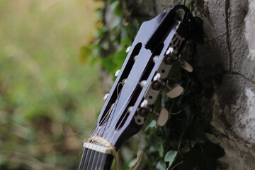 Detail of acoustic guitar in nature