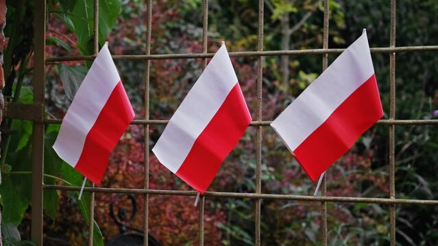 White and Red National Flag of Republic of Poland Paper Decoration Hanging on Fence on Independence Day