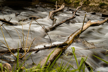 Photo with long exposure of a river with wood in it