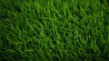 Green grass texture, soccer field structure design