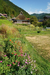 かやぶきの里（京都府南丹市美山町　北集落、京都丹波高原国定公園）