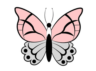 Cute butterfly on white background