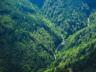 Fototapeta premium Aerial drone view of a forest gravel road winding along mountain sides. beech forests and a small stream. Capatanii Mountains, Romania. 