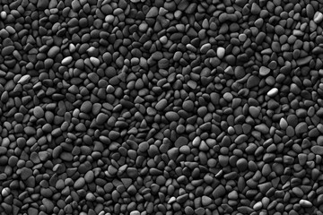 Monochrome Pebble Mosaic. A detailed seamless texture of small rounded stones in grayscale.