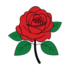 A Captivating Vector Hand-Drawn Rose Illustration Unveiling Nature's Graceful Elegance
