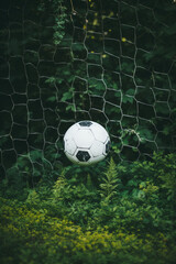 A soccer ball kicked into the goal net on the football field background. Sports concept. High quality photo