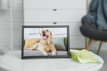 Frame with picture of dog and calla lily on white table in room. Pet funeral