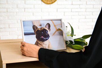 Woman holding frame with picture of dog in room, closeup. Pet funeral - obrazy, fototapety, plakaty