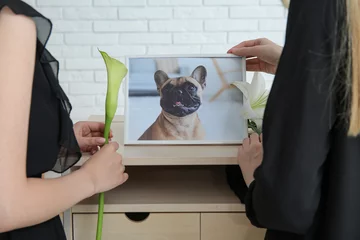  Women with picture of dog and flowers in room, closeup. Pet funeral © Pixel-Shot