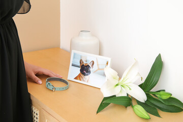 Woman near wooden table with collar, picture of dog and lily flowers, closeup. Pet funeral
