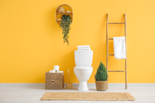 Stylish interior of restroom with potted plant and toilet paper rolls