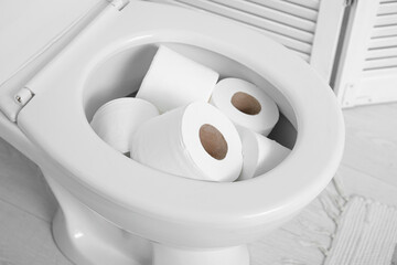Paper rolls in ceramic toilet bowl, closeup