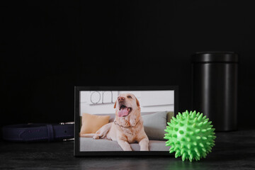 Frame with picture of dog, accessories and mortuary urn on dark background. Pet funeral