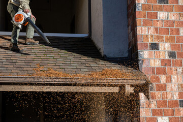 Fall pine needle debris flying in the air as a senior man on a rooftop is cleaning front entry roof shingles with a gas powered leaf blower and wearing hearing protection  © knelson20