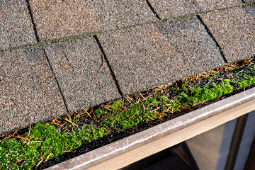 Closeup of roof gutter completely filled with debris and vibrant green moss growing on top, white...