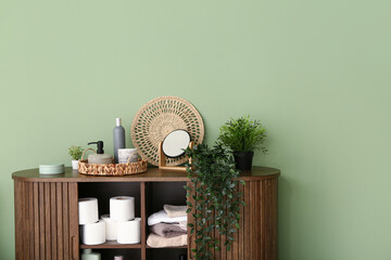 Wooden cabinet with bath supplies, toilet paper rolls and plants near color wall