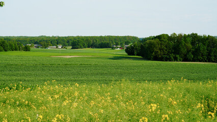 Obszary rolnicze, gdzie jest świeże powietrze świeżą żywność od małych lokalnych gospodarstw, ekologiczna polska wieś. Błękitne niebo