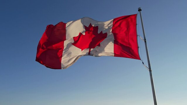National Flag of Canada. Canadian flag slow motion at mast at Toronto city Ontario Canada in remembrance.