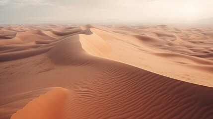 Fototapeta na wymiar a desert with sand dunes