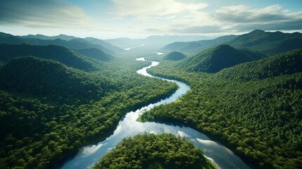 a river running through a forest