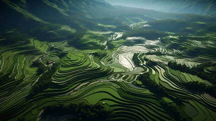 Foto op Canvas a green landscape with a river with Longsheng Rice Terrace in the background © KWY