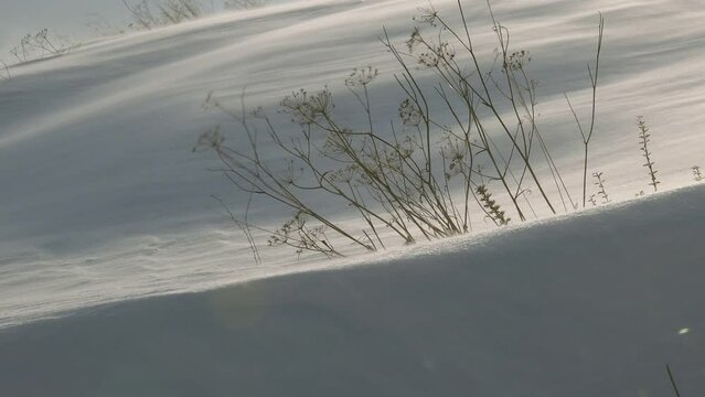 Ground blizzard ,strong blowing carries loose small ice in the mountains, dry long grass is swaying in the wind.
